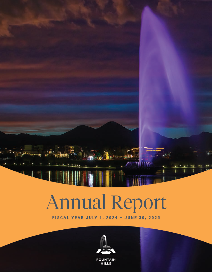 Annual Report 2025