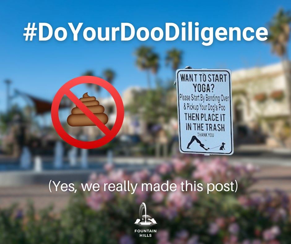 Do Your Doo Diligence